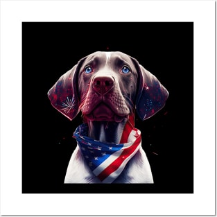 Pointer dog 4th of July Posters and Art